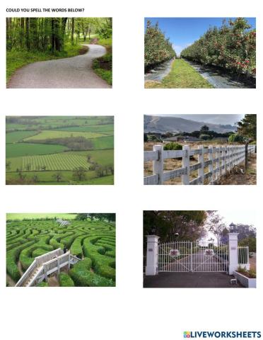 YL7 Unit 3: Spelling