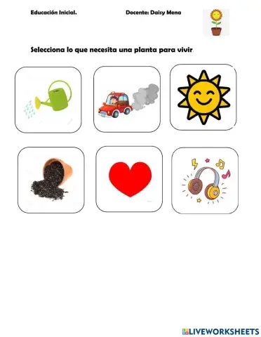 Que necesita una planta para vivir
