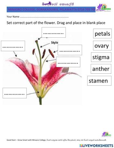 Minasro College - science