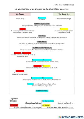 Vinifications blanc et rouge