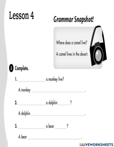 Grammar-   Where does a dolphin live ?