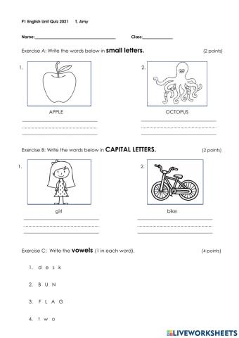P1 Unit Quiz Term 1 Quarter 1