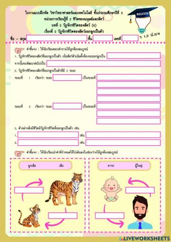 วัฏจักรชีวิตสัตว์