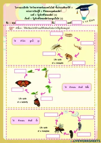 วงจรชีวิตสัตว์ออกลูกเป็นไข่