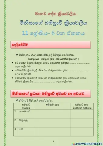 Grade 11- Excretion System