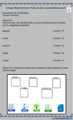 Evaluacion de Computacion 3ro Primaria