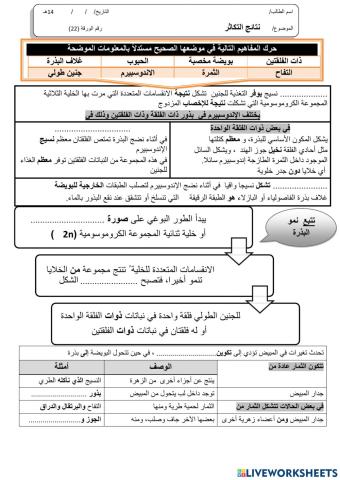 ورقة 22تفاعلية3