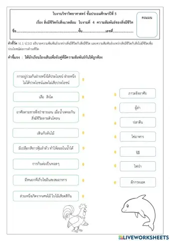 ความสัมพันธ์ของสิ่งมีชีวิต