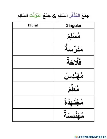 جَمْعُ المُذَكَّر السَّالِم & جَمْعُ المُؤَنَّث السَّالِم