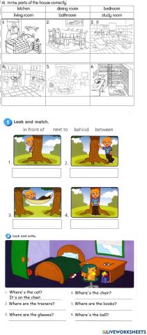 Year 3 Module 5 Vocab exercise