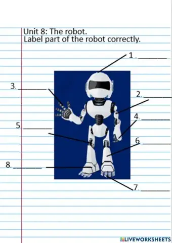 Superminds Unit 8: The robot