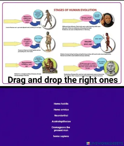 6 th std - human evolution