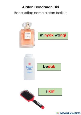 Alatan dandanan diri