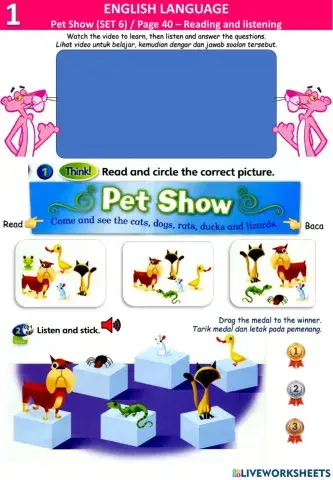 Pet show (6) - read and write -I like I don't like