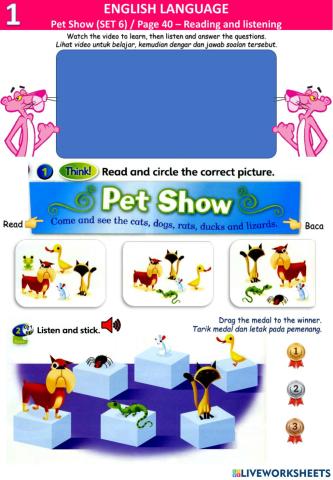 Pet show (6) - read and write -I like I don't like