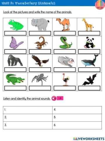 Wild Life- Vocabulary