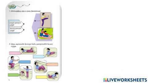 தசைநார் பயிற்சிகள் உடற்கல்வி