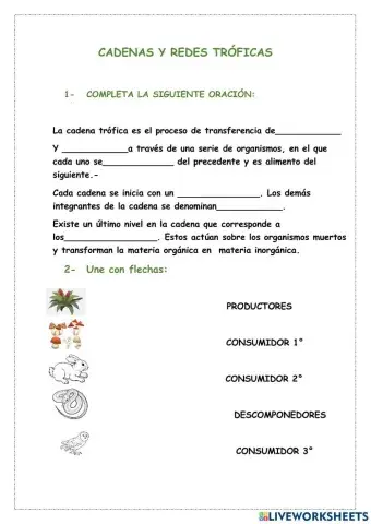 Cadenas y redes troficas