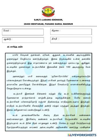 கடற்பாசி