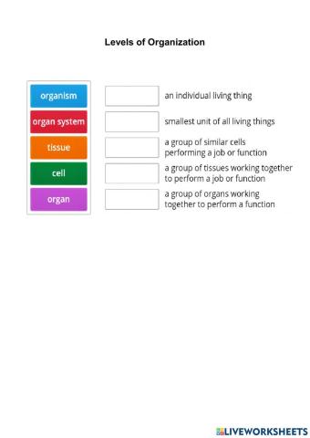 Levels of organization