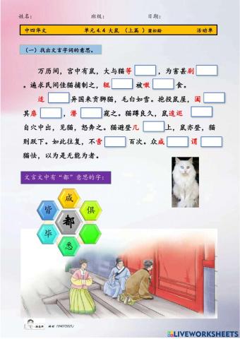 中四 4.4 大鼠 上篇