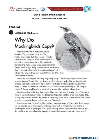 Why do MockingBirdsCopy?