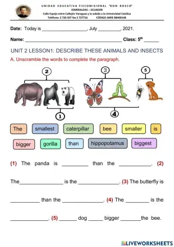 Animals and insects - paragraph