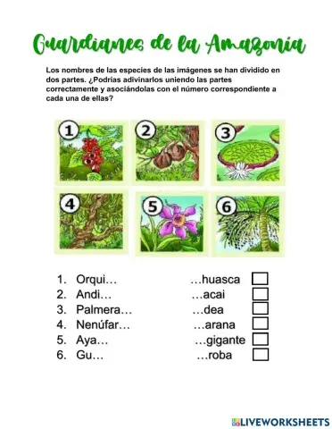 Guardianes de la Amazonía