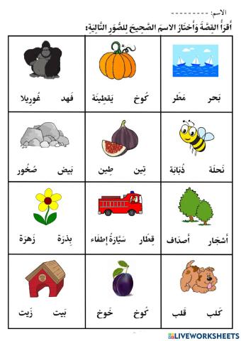 سمسم والألوان