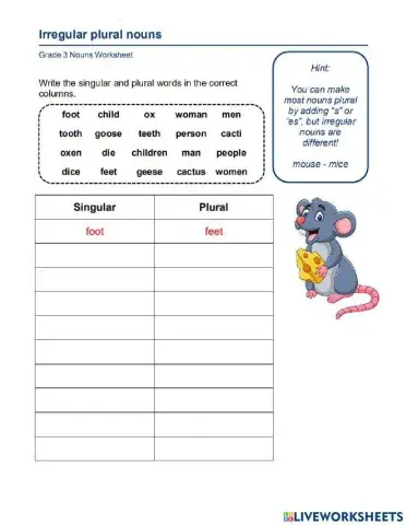 Irregular Plural Nouns