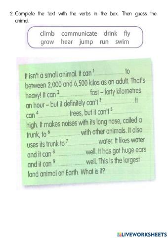 Y5 Unit 3 Lesson 8 page 40 Review 2