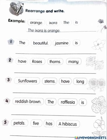 Rearrange Word PPKI T3