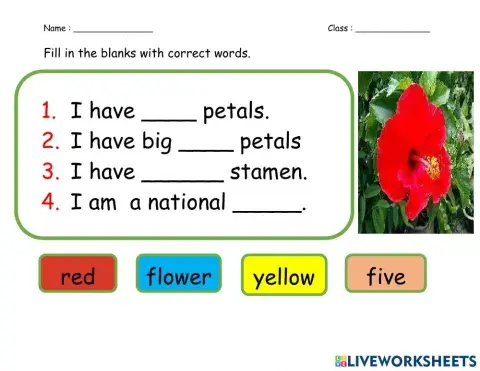 Fill in the blanks with correct words