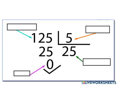 Partes de la division