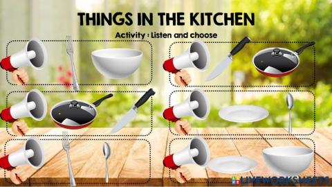 Listen & choose : things in the kitchen
