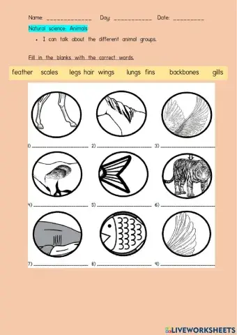 ENGLISH YEAR 5 Starter unit