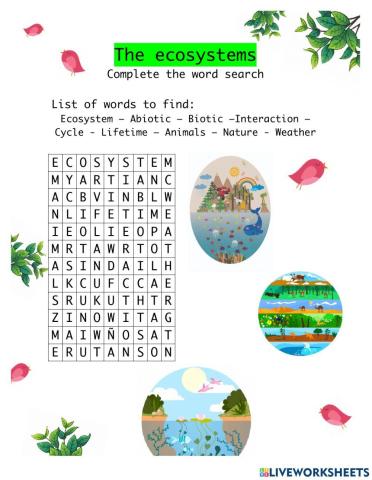 Search word -The ecosystem-