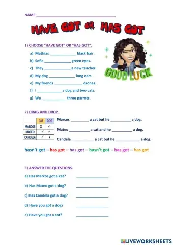 Have got - has got aff, neg. int.