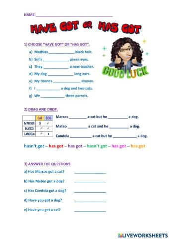 Have got - has got aff, neg. int.