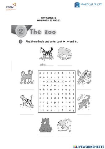 Zoo animals