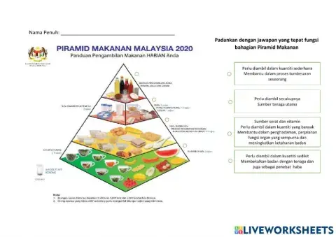 Latihan Piramid Makanan