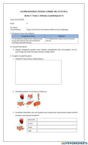 LKPD IPA Kelas v otot