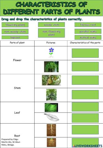 Characteristics of different parts of plants