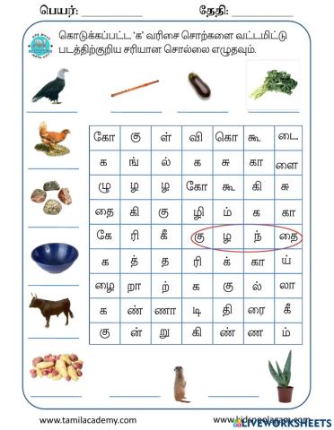 சொற்கள்