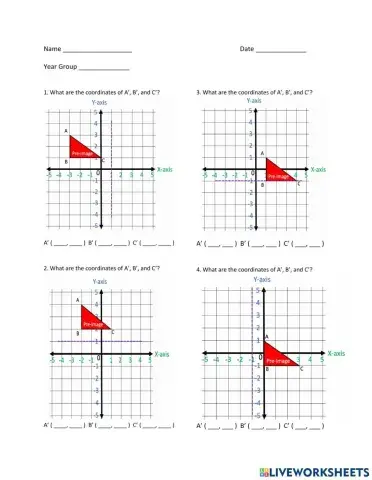 Reflection - Mirror Line
