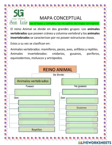 Mapa conceptual