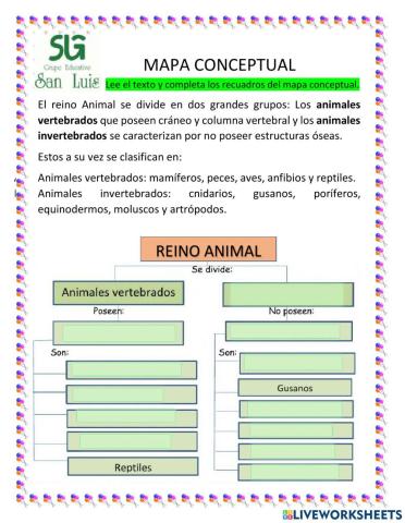 Mapa conceptual
