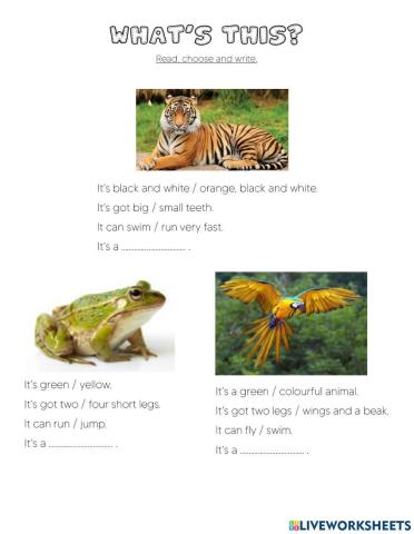 Animal descriptions