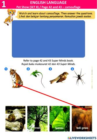 Pet show (8) - Camouflage