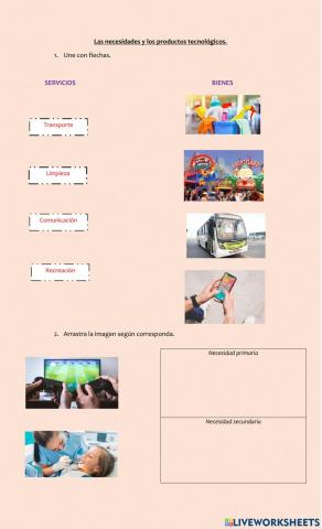 Las necesidades, bienes y servicios.